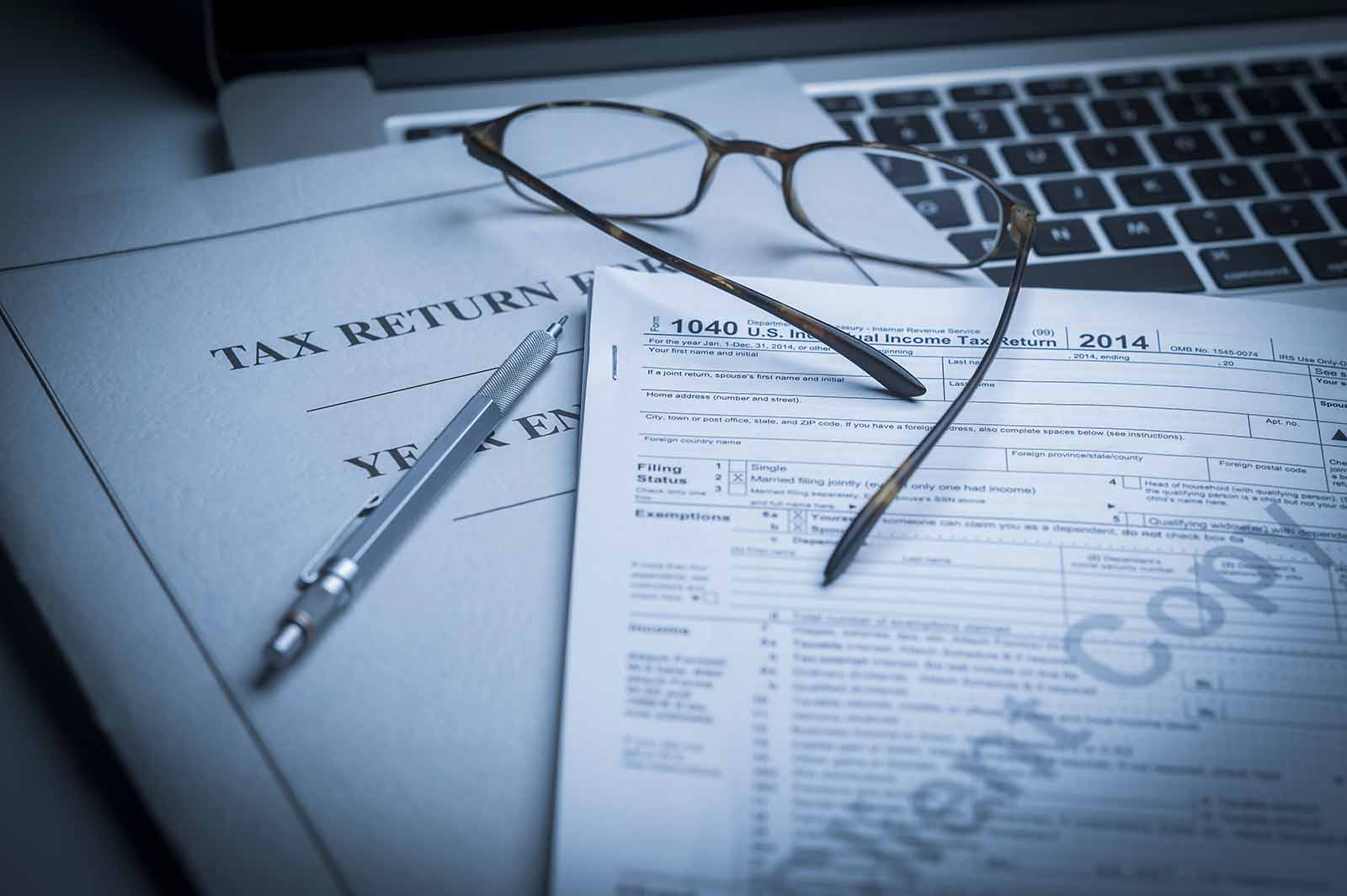 Kauai Tax Preparation Service